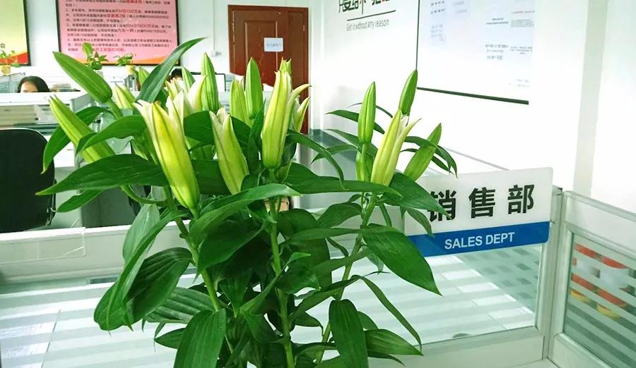 濃情七夕，最美祝福！